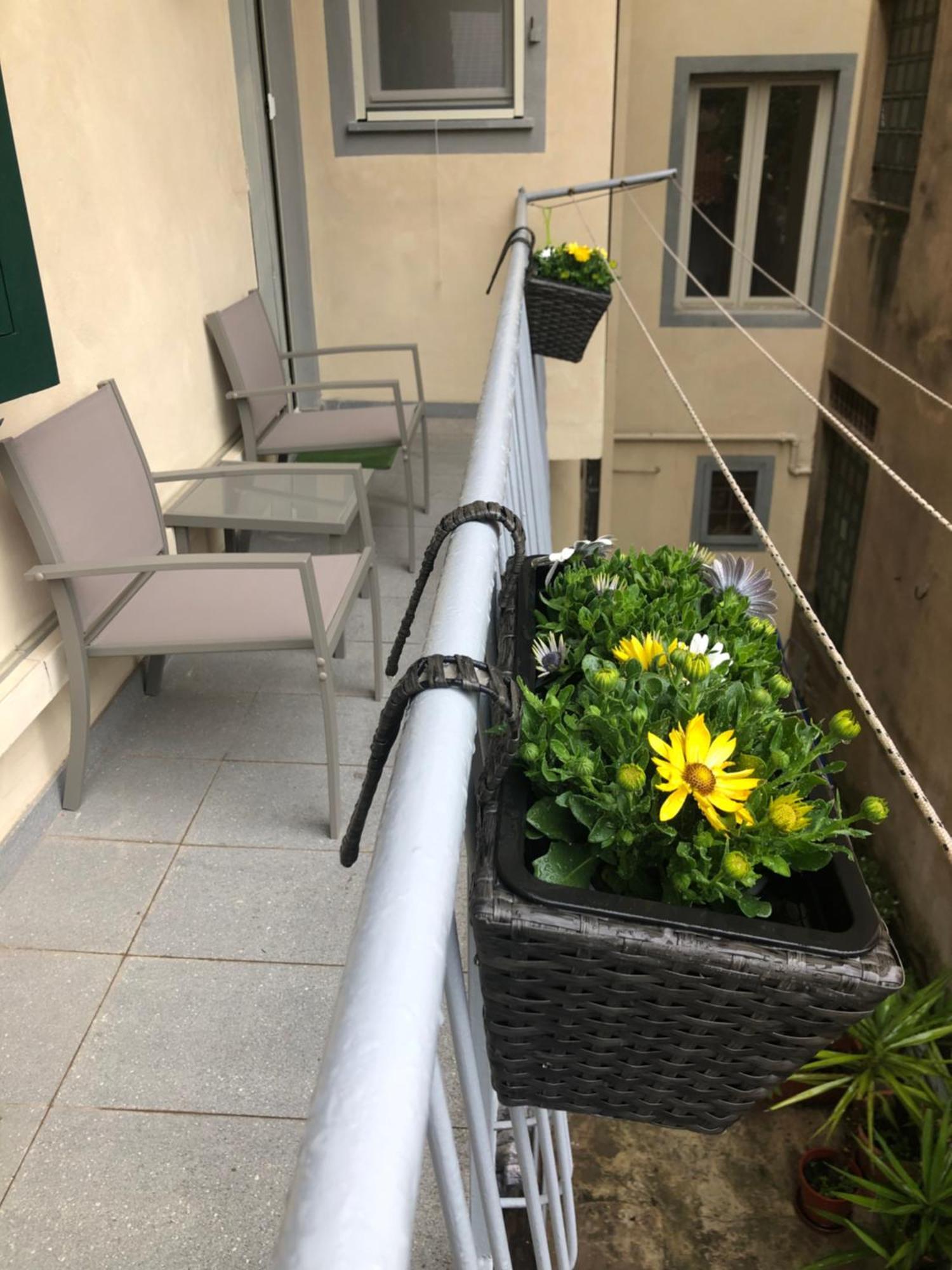 Sonnino House Apartment Pisa Exterior foto