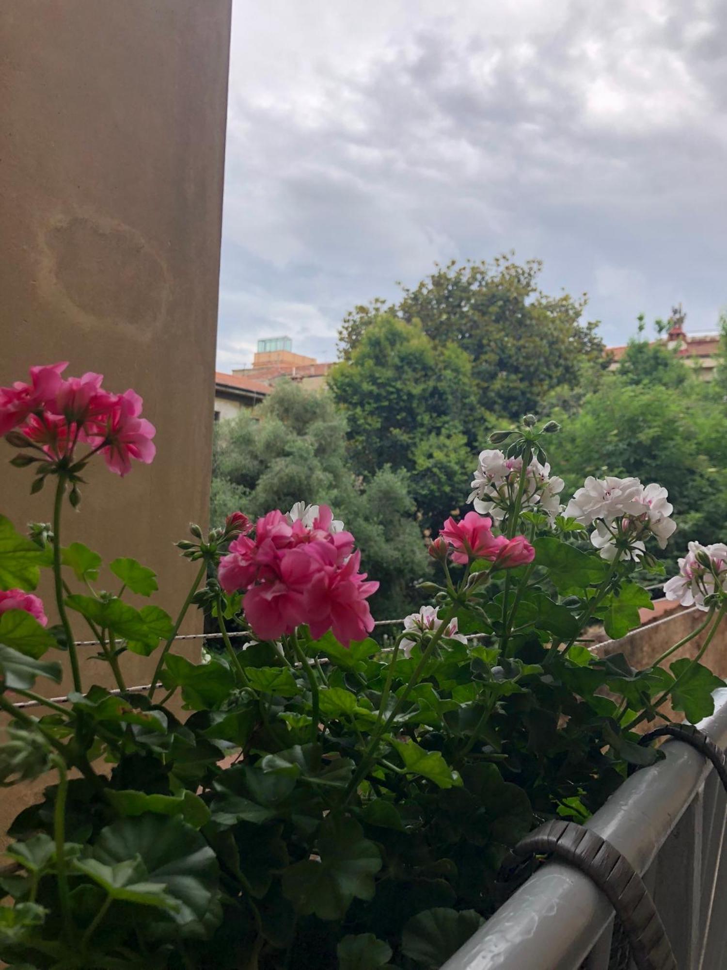Sonnino House Apartment Pisa Exterior foto